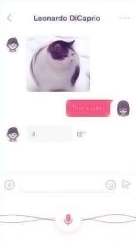 DDOS网页端软件程序维护界面